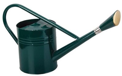 Fallen Fruits 7,5 L Arrosoir – Vert