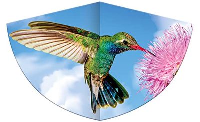 GÜNTHER FLUGSPIELE Paul Günther 1178 - Cerf-volant pour enfants avec motif colibri, cerf-volant à une corde en film PE robuste, pour enfants à partir de 4 ans, dimensions env. 75 x 48 cm