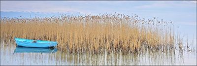 Pro-Art g1718e Far Away - Lienzo en impresión giclée (150 x 48 cm), diseño de Paisaje, Multicolor, 120 x 40 cm