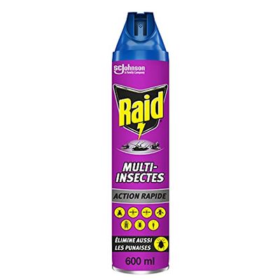 RAID AÉROSOL MULTI-INSECTES, 600 ML