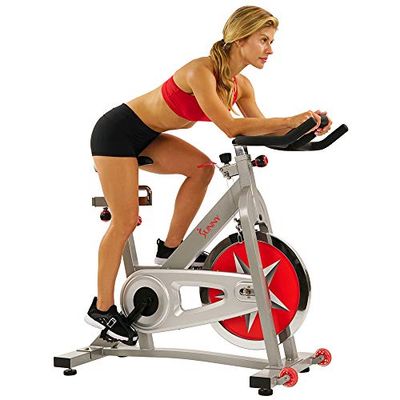 Sunny Health & Fitness Serie Pro 40 libbre. Cyclette fissa per ciclismo indoor magnetica argento con volano - SF-B901