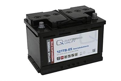 Batería Qbatteries 12TTB-65 Tubular Plate Battery. 12V - 65Ah Caja L3 (278x17...