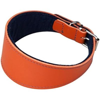 Arppe 2155015090 Collar Galgo Cuero Superfelt