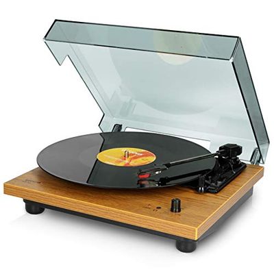 Lenco LS-10 Holz, Tocadiscos