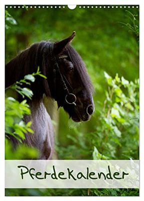 Pferdekalender (Wandkalender 2024 DIN A3 hoch), CALVENDO Monatskalender: Schöner Hochformat-Pferdekalender mit 13 Motiven