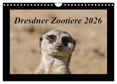 Dresdner Zootiere 2026 (Wandkalender 2026 DIN A4 quer), CALVENDO Monatskalender: Überblick über Tiere im Dresdner Zoo