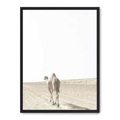 Cuadro camel i_FASE5