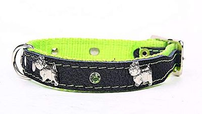Capadi K0855 - Collar de Perro Adornado con Aplicaciones de Metal, Suave y Resistente, Collar de Piel auténtica, Verde, Ancho 16 mm, Longitud 35 cm