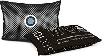 SIXTOL Dry CAR Mini compact ontvochtigingskussen absorbeert ongewenst vocht airdry Duo auto-ontvochtiger, 1 x 150 g