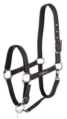 Licol de cheval pour système Goleygo, noir/fuchsia, shetty