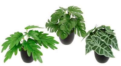 Mini växtsortiment i kruka set med 3 monstera konstgjorda växter gröna växter krukväxter bladväxter inomhusväxter konstgjorda blommor växter blommor som äkta konstgjord dekoration sidenblommor