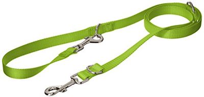 CHAPUIS SELLERIE SLA565 Guinzaglio 3 posizioni per cani - Collare in nylon verde - Larghezza 20 mm - Lunghezza 2 m - Misura M