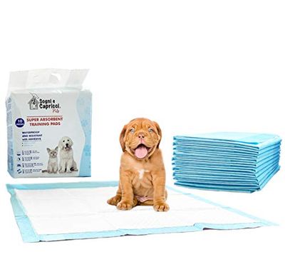 Italian Bed Linen Tapis Absorbant Pets, Neutre, 60x60cm