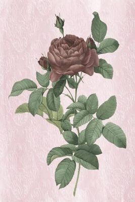 Vintage rose notebook