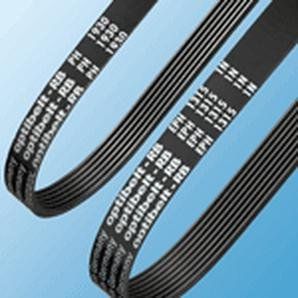 Optibelt – 8 PJ 508 scanalato Cinture