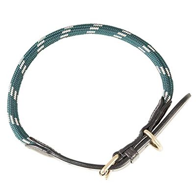 PFIFF 102827 - Collare per cani "Lina", verde/beige, L