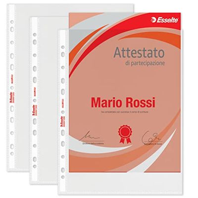Esselte Copy-Safe 395697200 Universal Envelopes, Office, 33 x 23 cm Embossed, Pack of 100, Clear