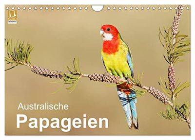 Australische Papageien (Wandkalender 2026 DIN A4 quer), CALVENDO Monatskalender: Erstklassige Fotografien von australischen Papageien