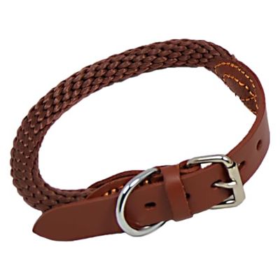 JACK AND VANILLA, Collare Comodo e Durevole per Cani, Fibbia di Sicurezza Robusta, Design Elegante, Regolabile per Una Perfetta Mano, Misura 15 x 65 cm, Colore Marrone, Modello Walkabout