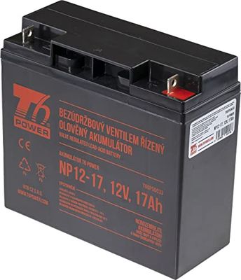 T6 Power Accu voor NP12-17, 12V, 17Ah