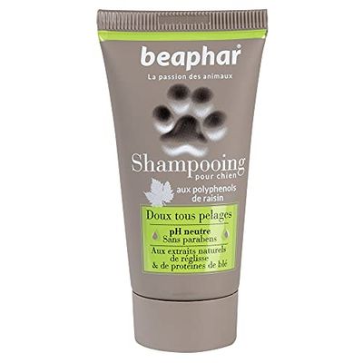 BEAPHAR – Shampoing premium doux tous pelages pour chien – Aux extraits naturels de réglisse & de protéines de blé – Nourrit, pelage sain et brillant – pH neutre & sans parben – 30ml