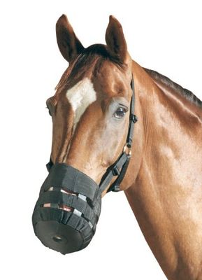 Pfiff 005070-20-Shetty Muselière et/ou mangeoire Noir Warmblood/Complet