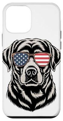 Patriotic Labrador Retriever Dog American Flag Sunglasses Case for iPhone 12 mini