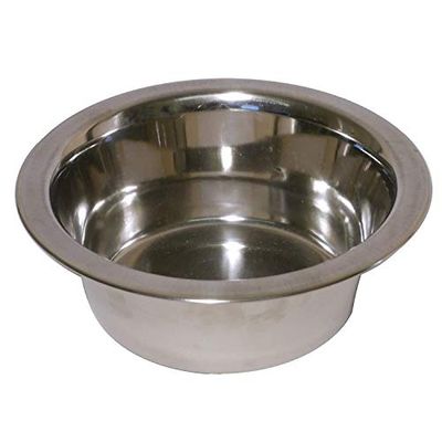 Rosewood Bol en Acier Inoxydable Transparent 20,3 cm