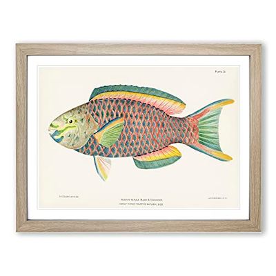 Tropical Fish By Henry Baldwin Vintage Framed Wall Art Print, Ready to Hang Picture for Living Room Bedroom Home Office Décor, Oak A4 (34 x 25 cm)