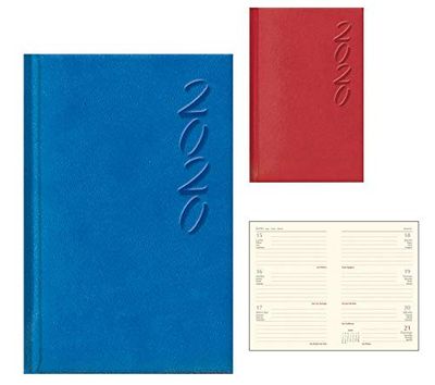 Expositor 12 Agendas 2020 bolsillo 13x9cm