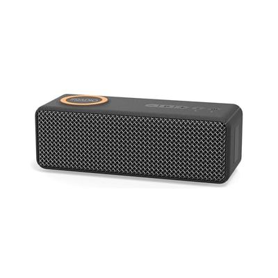 IRRADIO IR-M9 Charge Classic Draadloze luidspreker met inductieve oplader voor smartphone en tablet, 20 W, IPX7 waterdicht, voor binnen en buiten, compatibel met MP3- en WAV-formaten