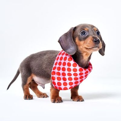 Red Nose Day Bandana à Pois pour Chien S/M