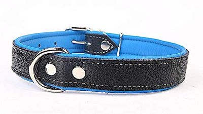Capadi K0733 - Collar para Perro con Piel de napa y Resistente Collar de Piel auténtica, Color Azul, Ancho 30 mm, Longitud 63 cm