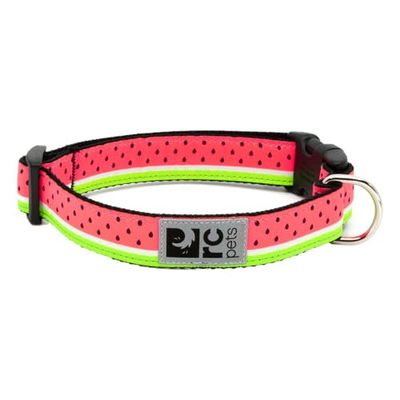 RC Pet Products Cane Regolabile Collare Clip