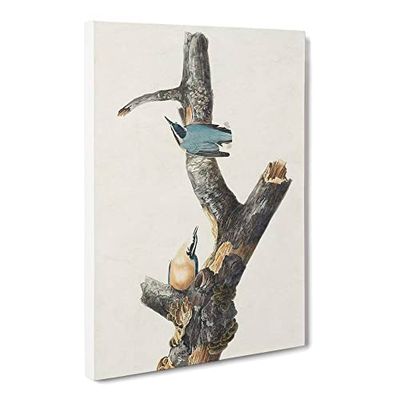 Red Breasted Nuthatch Birds By John James Audubon Vintage Canvas Wall Art Print Ready to Hang, Framed Picture for Living Room Bedroom Home Office Décor, 20x14 Inch (50x35 cm)