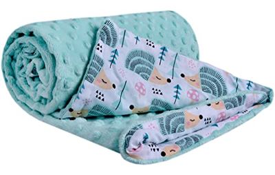 Medi Partners Babydeken, 100% katoen, 75 x 100 cm, dubbelzijdig multifunctionele Minky knuffeldeken voor kinderwagen, zacht pluizig (munt egel met munt minky)