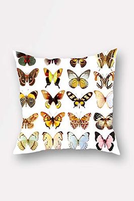 Lulu Home Pillowcase, Multi-Colour, 45 x 45 cm