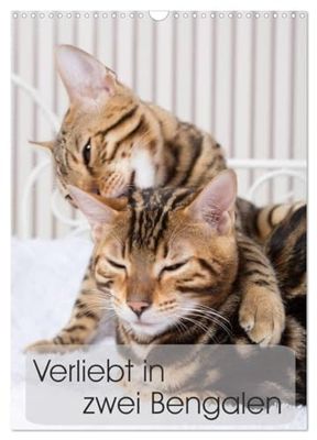 Verliebt in zwei Bengalen (Wandkalender 2026 DIN A3 hoch), CALVENDO Monatskalender: Fotografien zweier Bengalkatzenkinder