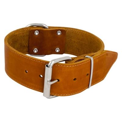 JACK AND VANILLA - Collare Grande per Cani in Pelle grassa - per Cani di Medie e Grandi Dimensioni - Solido, Durevole, Morbido al Tatto - Look Moderno - Colore Cognac, Misura 50 mm x 60 cm