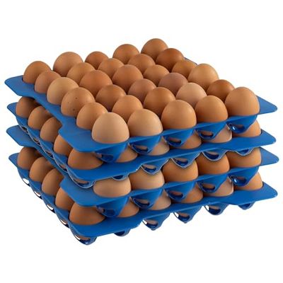 APS 10 lager till ägglåda, förvaring av ägg, varje lager á 30 ägg, 28,5 x 28,5 cm, 6,5 cm höjd