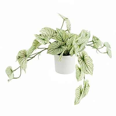 Leaf Design UK Realistic Artificial Foliage Plant, 30cm Variegated Potted Alocasia