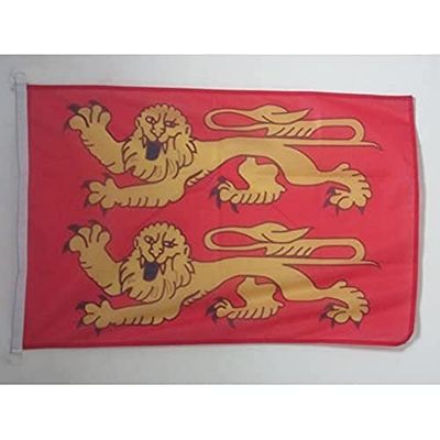 AZ FLAG Bandera de Baja NORMANDÍA 90x60cm Uso Exterior - Bandera DE Basse-Normandie - Francia 60 x 90 cm Anillos