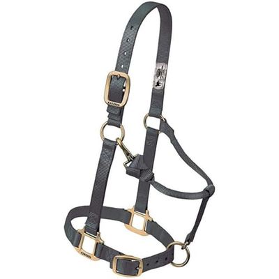 Original Verstelbare kinband en keelstuk met drukknoopsluiting, 2,5 cm, groot paard, grafiet