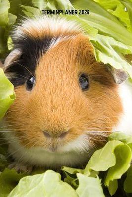 Terminplaner 2026: Meerschweinchen Jahresplaner und Kalender von Januar bis Dezember 2026 - Organizer und Zeitplaner für 1 Jahr