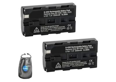 Amsahr Batteria di ricambio per fotocamera digitale e videocamera, per Sony NP-F550, NP-F330, NP-F570 Pack-2, con obiettivo incluso, B-NPF550-2CT