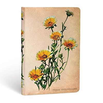 Carnet PAPERBLANKS ligné - Mini 95×140mm - Plantes Peintes série Marguerites des Bois