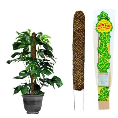 Mosser Lee Monstera Sphagnum Mosstang voor kamerplanten, plantenstok gemaakt in de VS, ideaal voor klimplanten, verbetert de plantengroei en stabiliteit, 30,5 cm hoogte