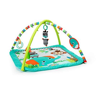 Bright Starts 52039,Heldere start activiteit Gym Zebra,1 Stuk (1er-pakket) Meerkleurig