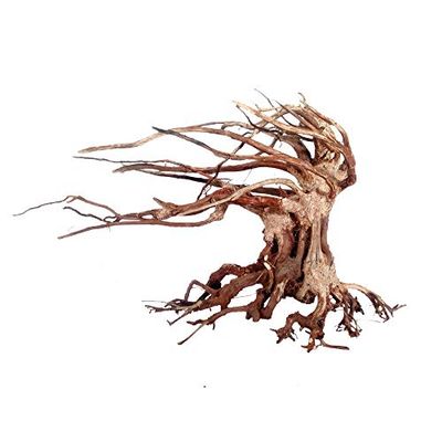 Croci Wood Oriental Wind Lot de 6 petites boîtes de 21 g