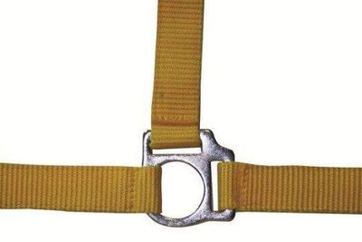 HKM 558562 Licol Stars Economy